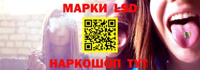 гашик Дубна