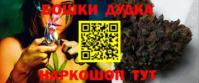 гашик Дубна