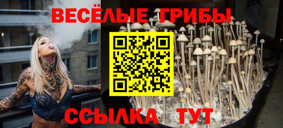 Галлюциногенные грибы прущие грибы Ленинск-Кузнецкий